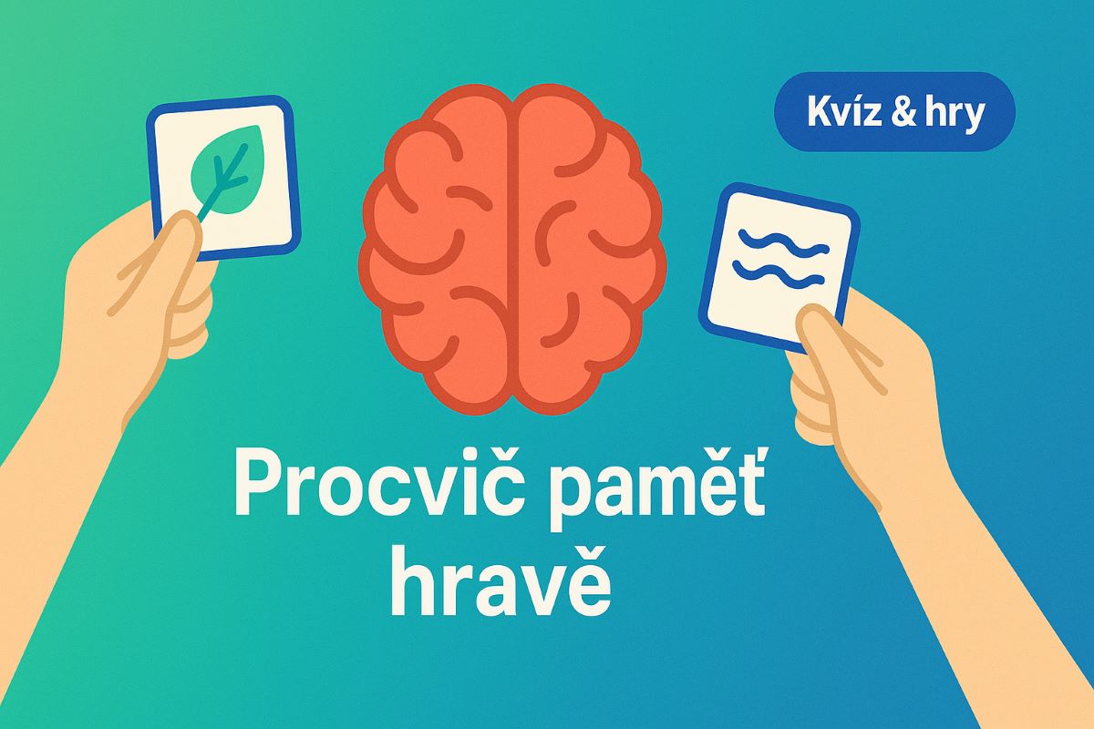 Procvičování paměti na CVND: ilustrační fotografie k pexesu a mini kvízu